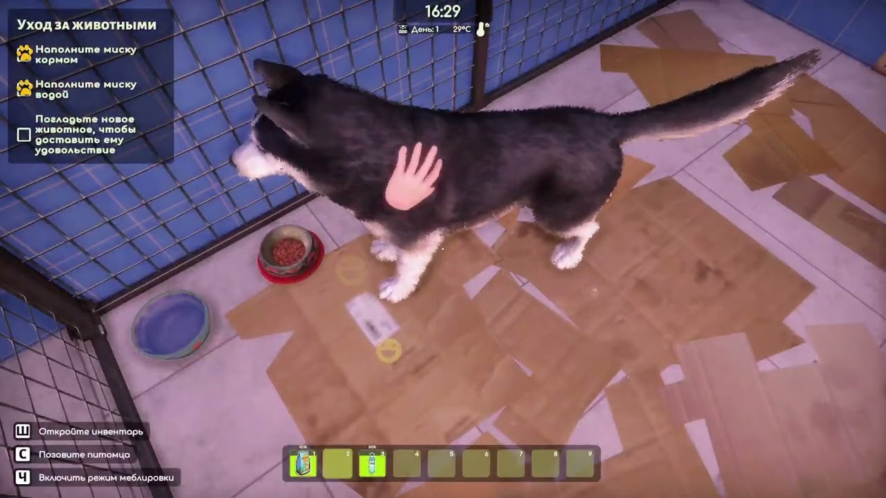 делаю приют для животных в Animal Shelter 2