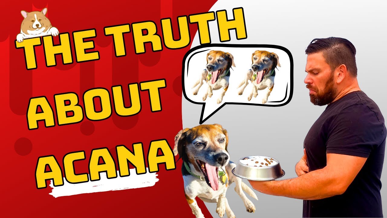 Acana Dog Food Review 2023 | Is Acana Dog Food Good for Senior Dogs?