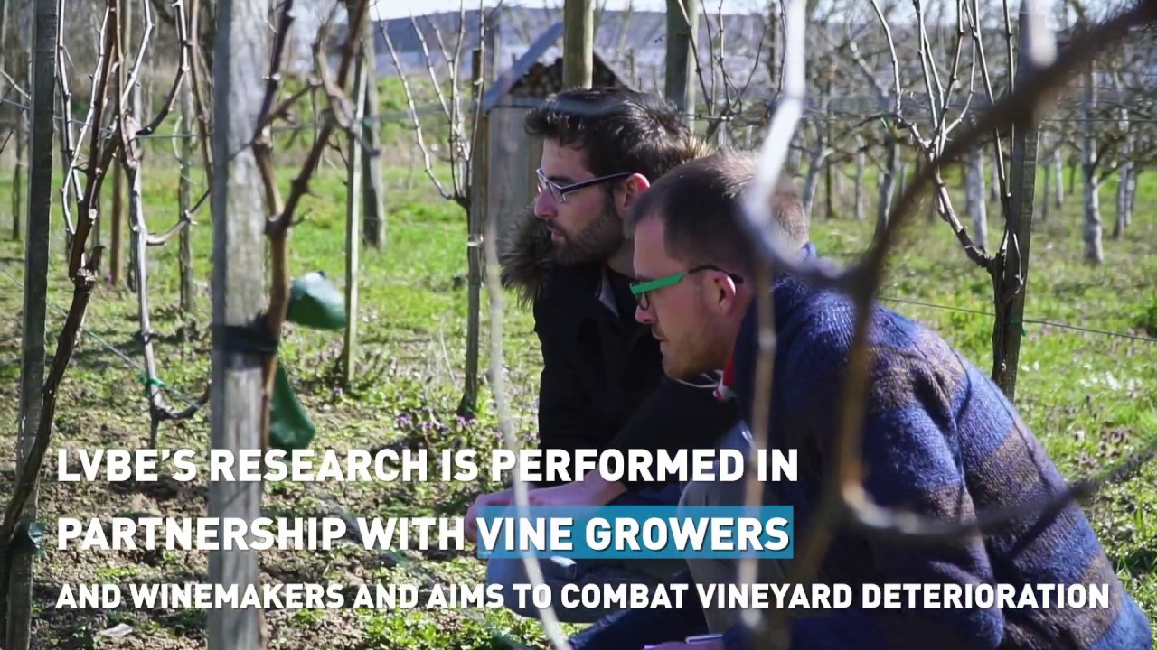 LVBE | Vine Biotechnology and Environment Laboratory (EN)