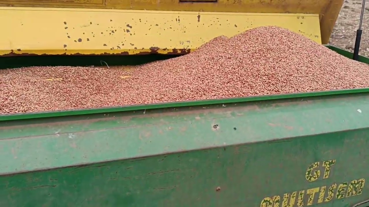 SIEMBRA DE CEREAL 2024 -  Cebada Planet