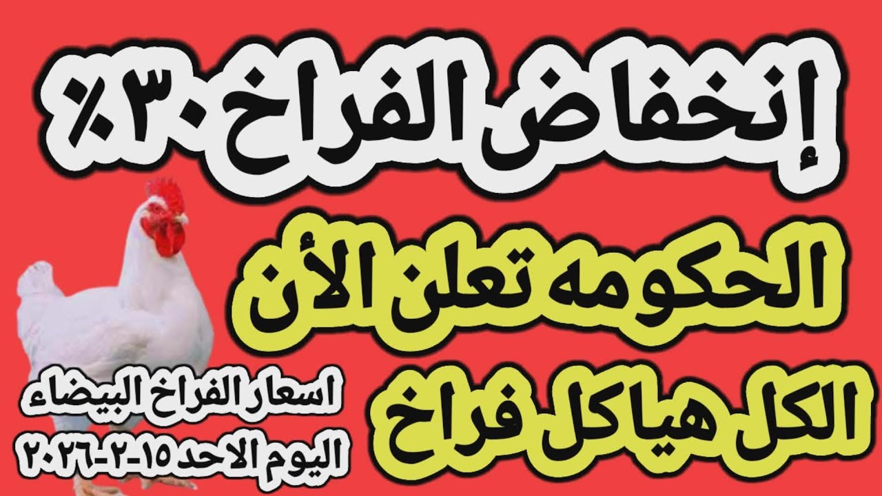 اسعار الفراخ البيضاء اليوم/ سعر الفراخ البيضاء اليوم الاحد ١٥-٢-٢٠٢٦ في مصر جمله وقطاعي