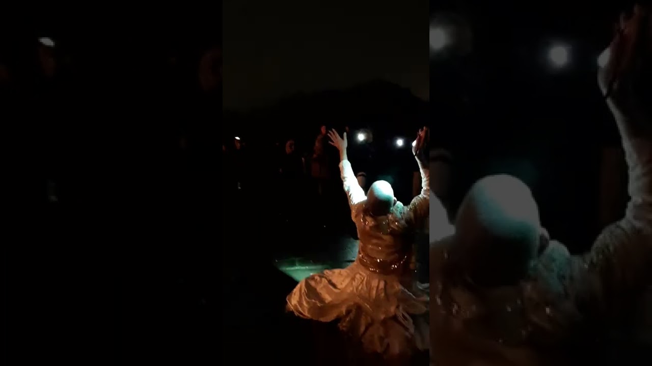 VEGAN PERFORMANCE