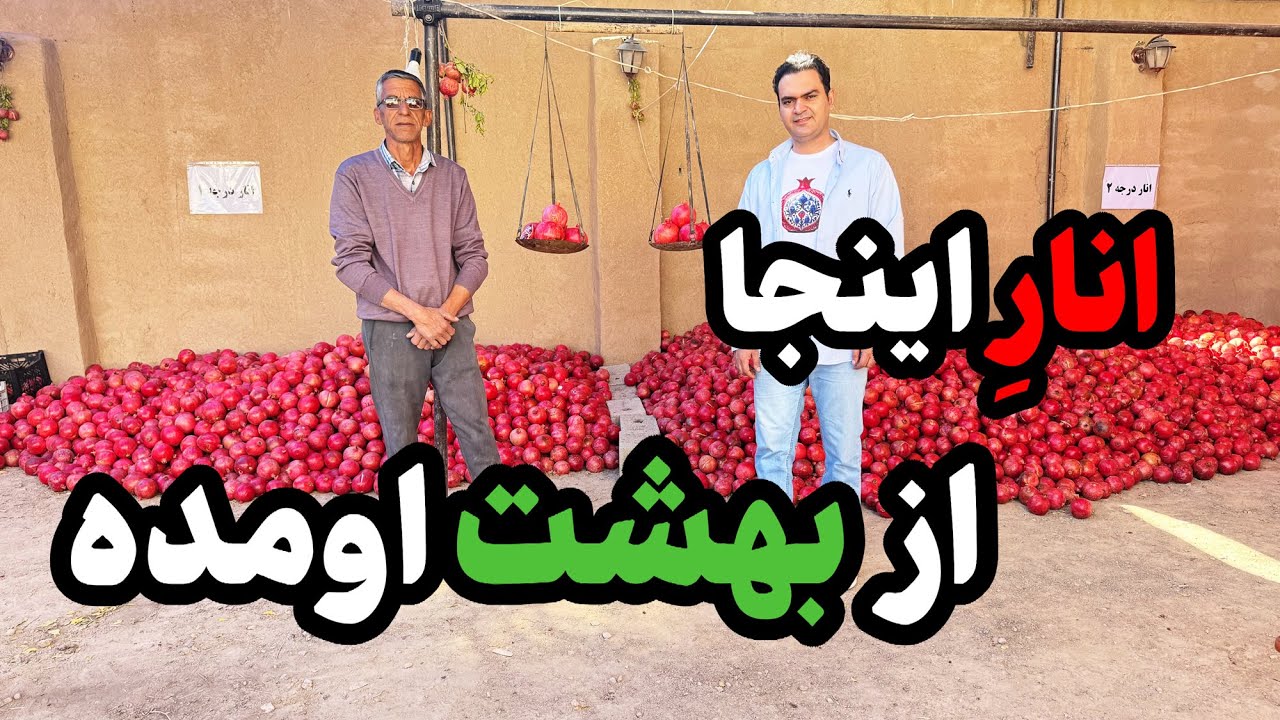 خوشمزه ترین انار در ایران