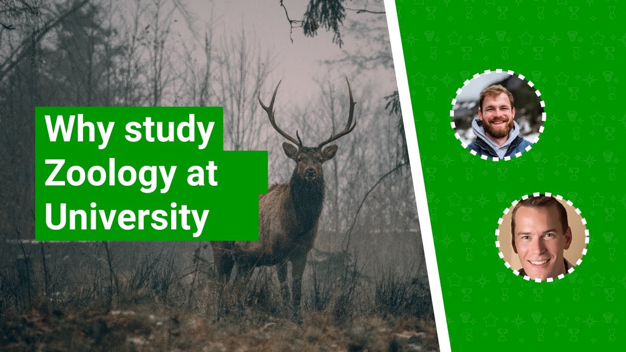 Zoology at University - what to expect and why you should consider it | UniTaster On Demand