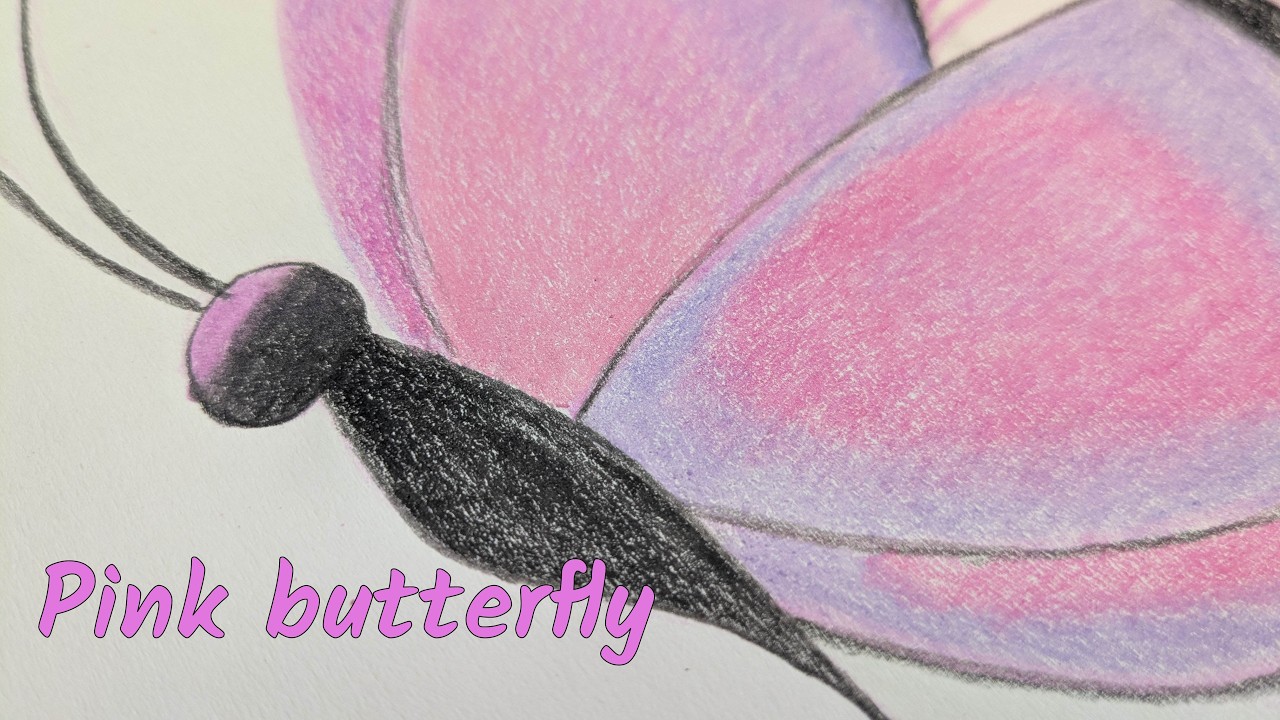 Beautiful butterfly coloring with gradient technique