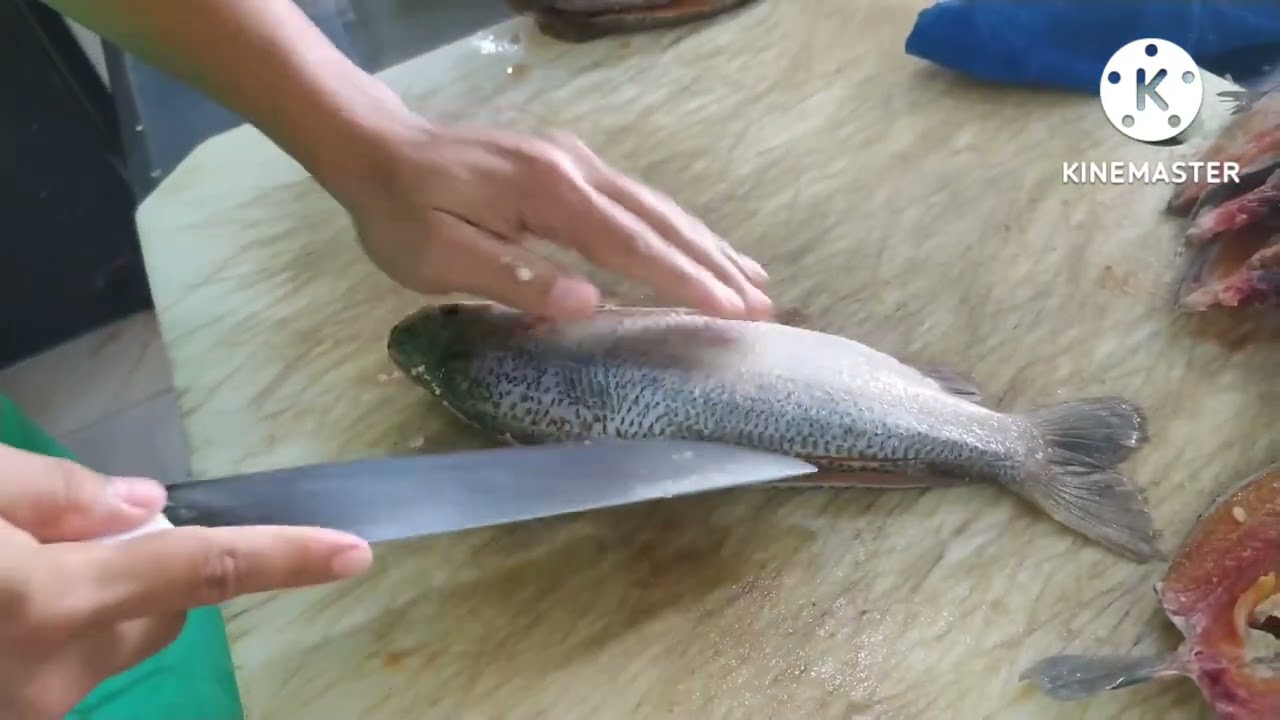 coporo deshuesado o coporo sin espina