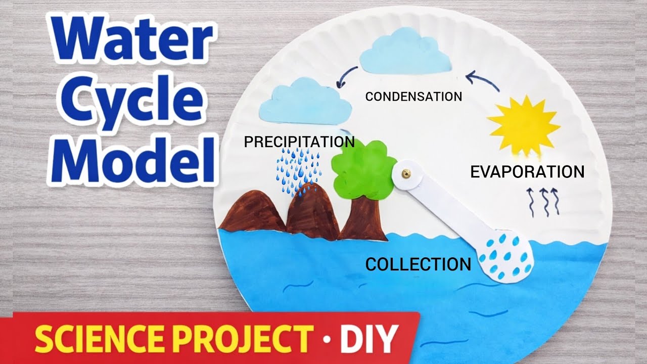 Water Cycle Model | Science Project for Class 3 to 5 | Easy DIY Paper Plate Water Cycle Model