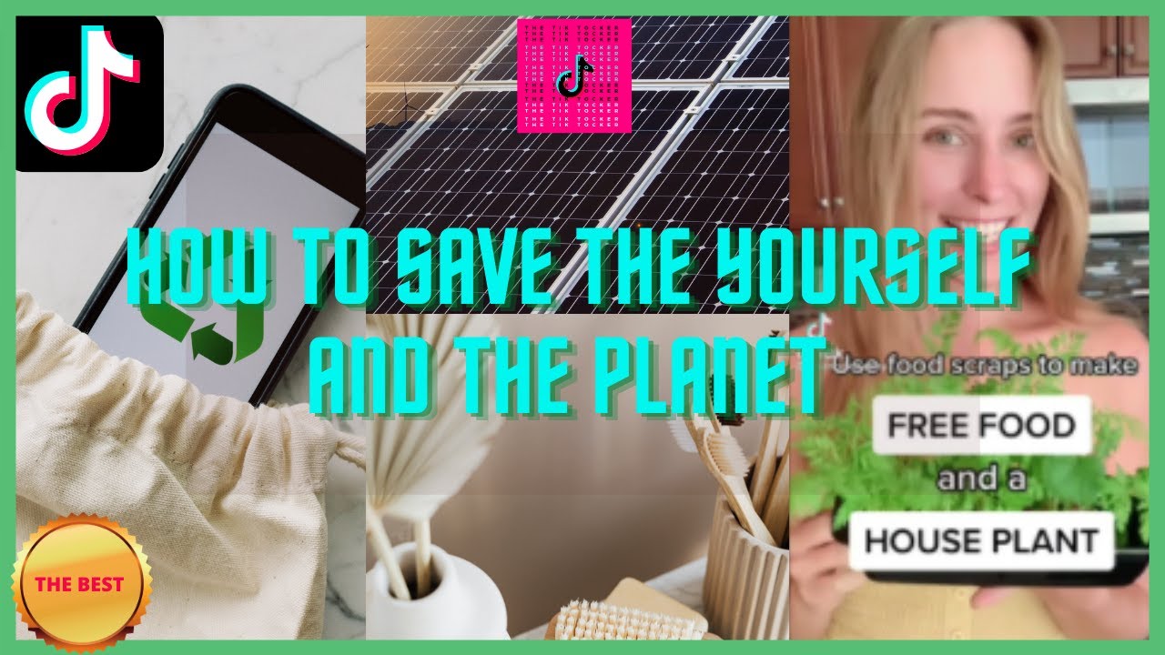 How To Start Your Zero Waste/Eco Friendly Journey Now |TikTok| Compilation
