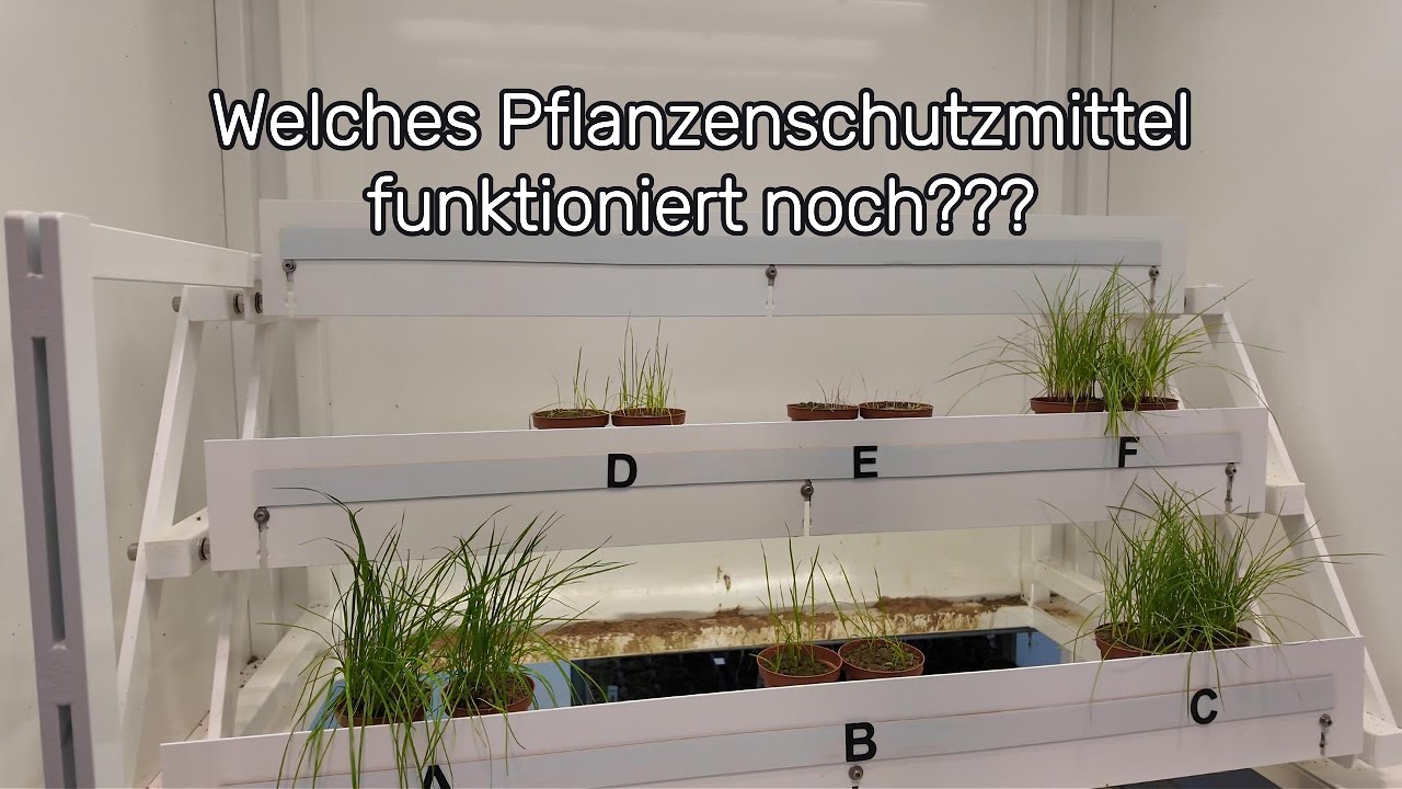 #vlog22 Welches  Pflanzenschutzmittel funktioniert noch?