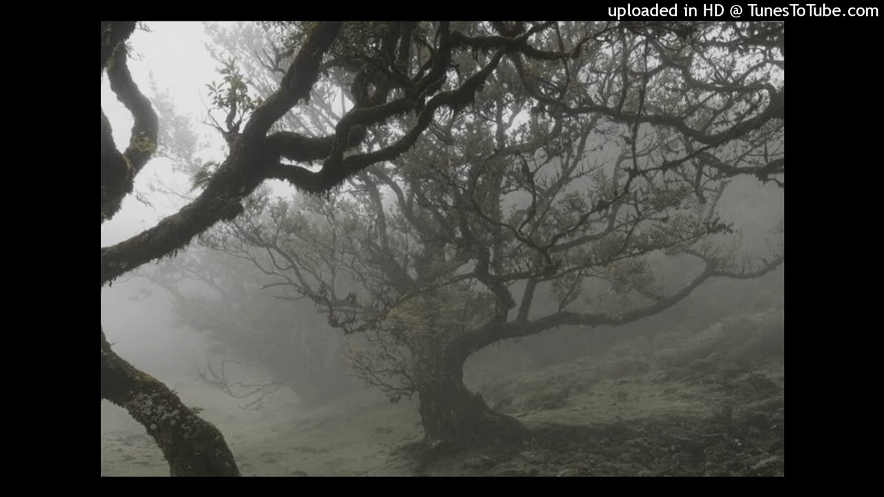 (free) experimental ambient alternative dollmight type beat / @renne