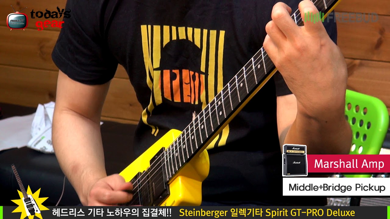 Todaysgear Steinberger Spirit GT-PRO Deluxe