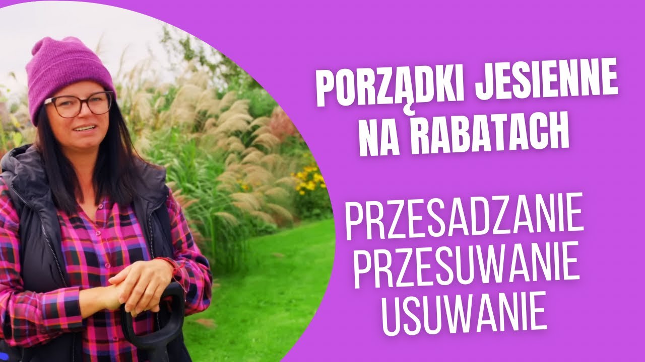PORZĄDKI JESIENNE NA RABATACH | przesadzanie| Kasia in