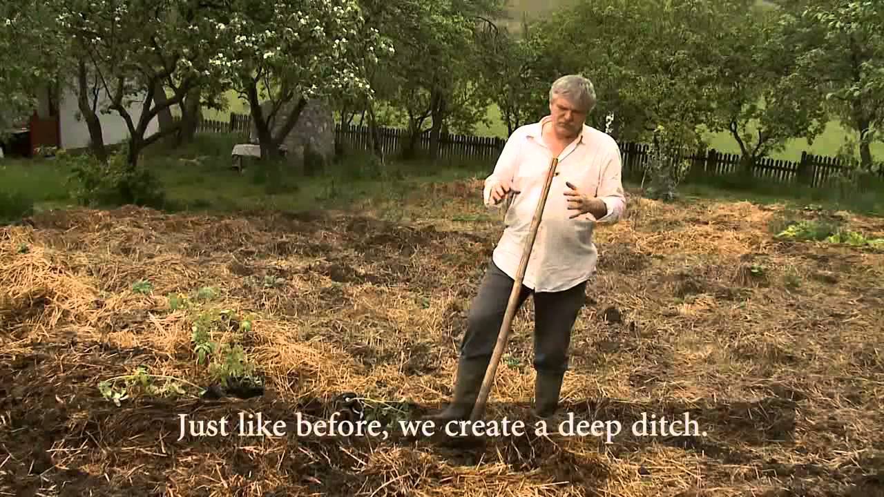 Smart and Eco-friendly gardening - with subtitle