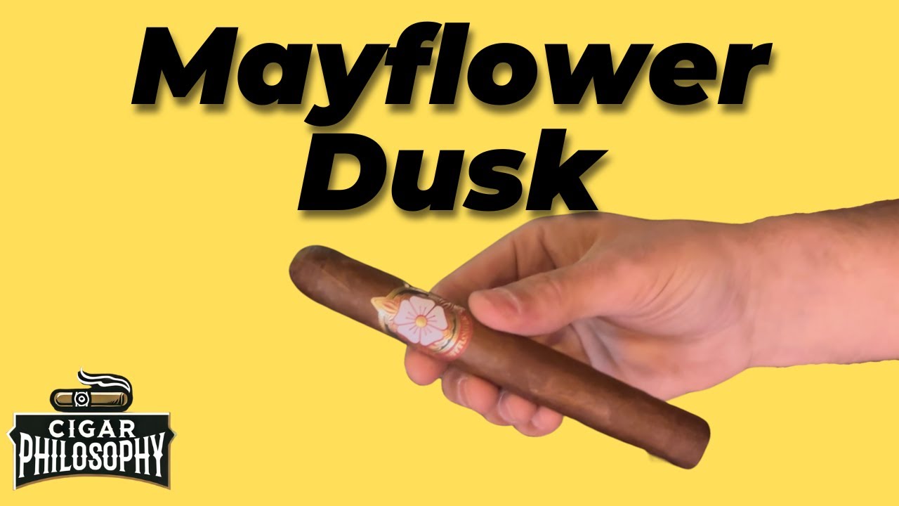 Michael Knowles's Mayflower Dusk: Full Review