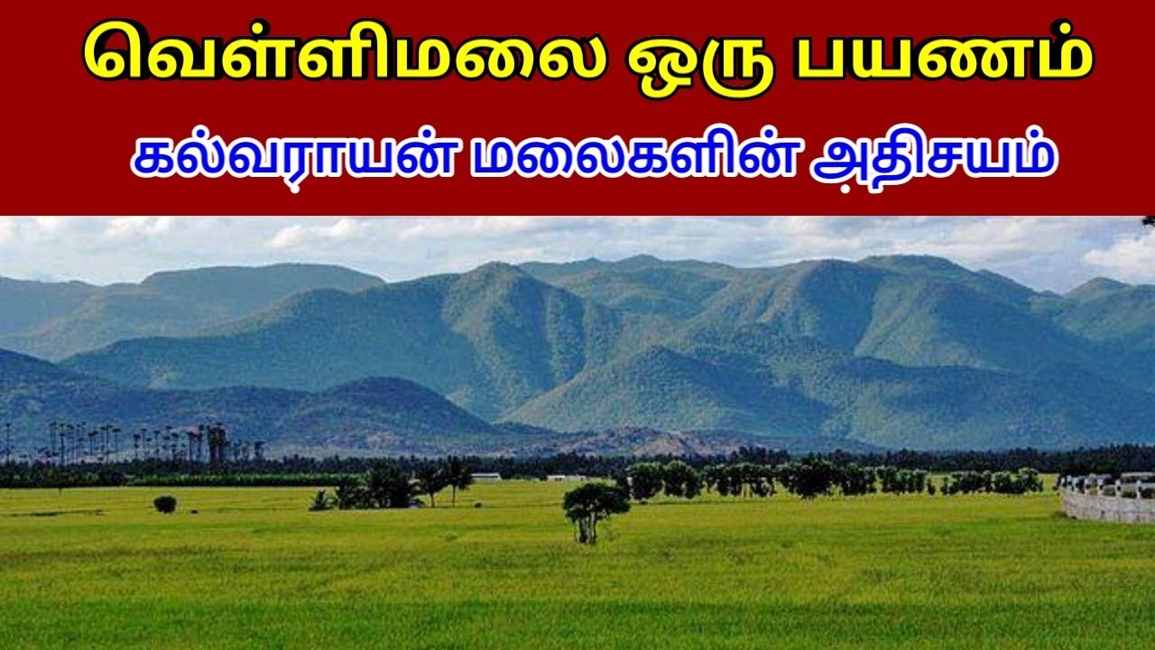 வெள்ளிமலை ஒரு பயணம் ! | பார்க்க பார்க்க மகிழும் கல்வராயன் மலைகள் ! #vellimalai #Trip - Red Tamil Tv