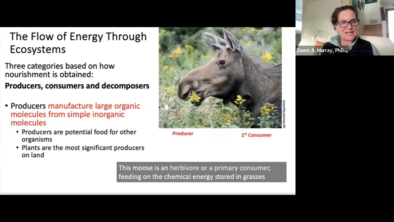 Energy and Biogeochemistry Cycles