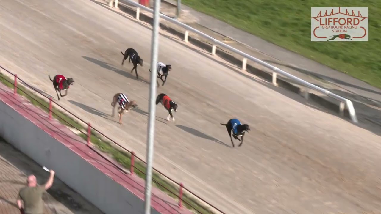 Sunday 21st April 2024 | Race 4 | PIVATOL TIME