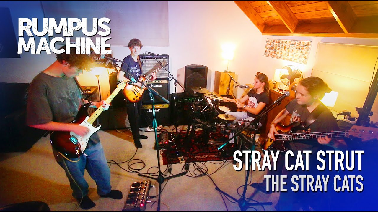Stray Cat Strut (Live Cover) - Stray Cats - Rumpus Machine - Live Classic Rock & Originals Band
