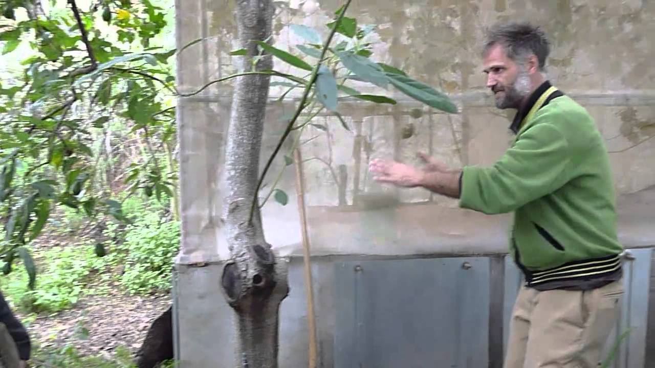 Finca Autarca   Terra Preta herstellen