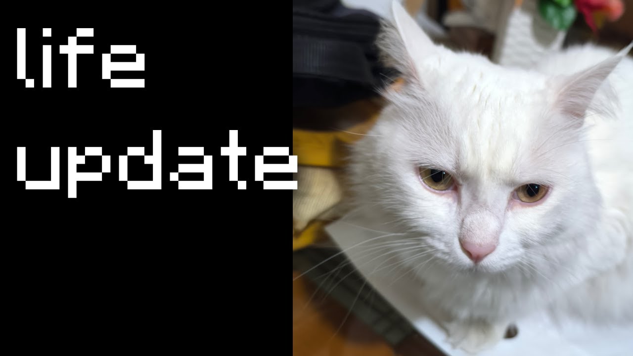 HellCastle life update :) (back in Lebanon)