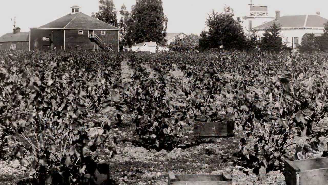 Livermore Valley - A Brief History (3min)