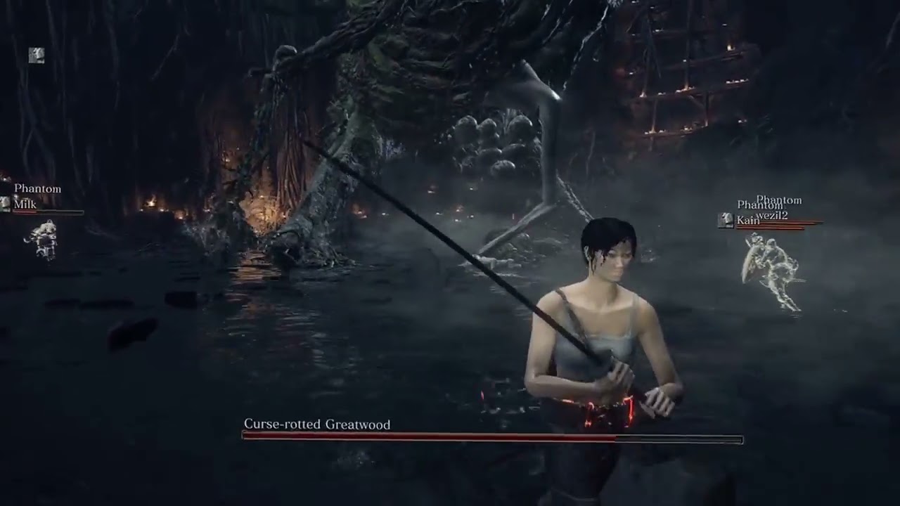 Dark Souls III group of 4 cooperative vs boss