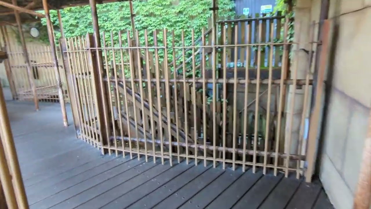 Tomb Blaster Queue Walkthrough & Dispatch | Chessington World of Adventures