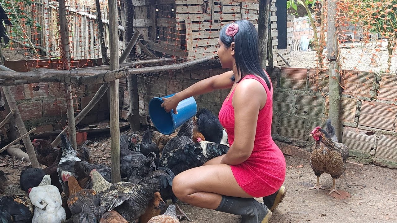 A vida real e simples de uma jovem mulher do campo, cuidando de inúmeros animais. 
