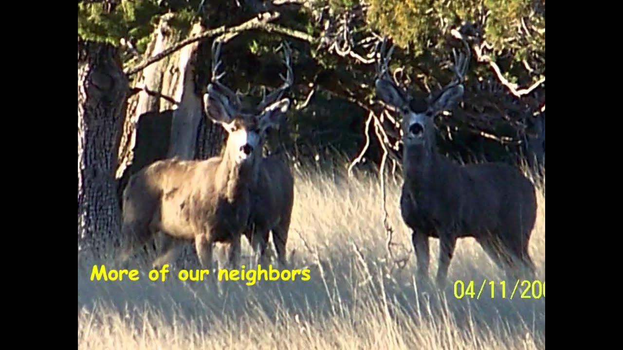 San Carlos Apache Reservation slideshow