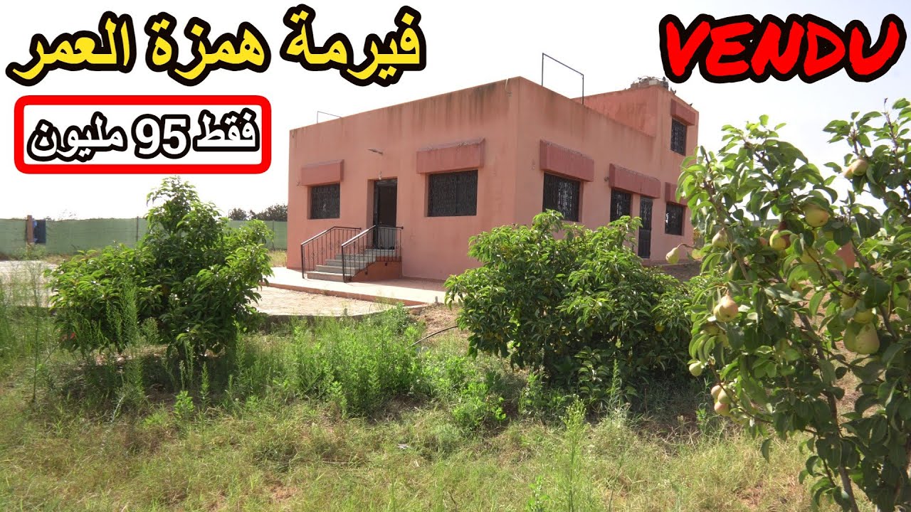 ✨اجمل ما شافت عينيك فيرمة بمنزل كبير و اشجار الفواكه المتنوعة والتجهيزات بارخص ثمن ✨تيفلت الخميسات