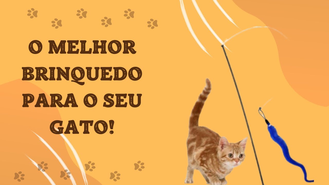 O melhor brinquedo para gatos que já comprei até hoje