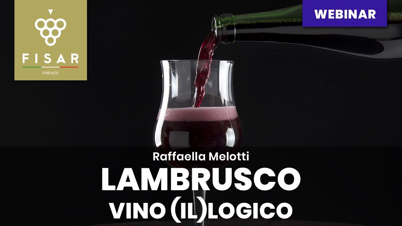Lambrusco , vino (il)logico
