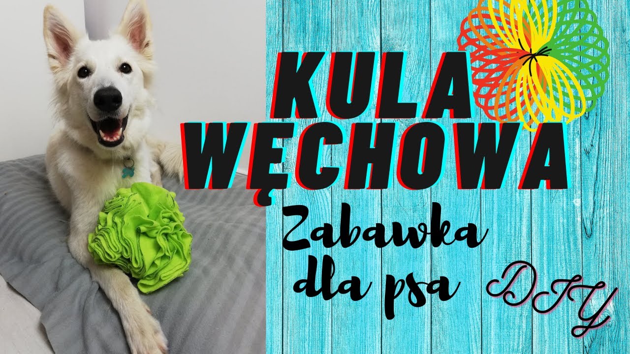 Jak spędzam wolny dzień z NELĄ? + ZABAWKA DLA PSA DIY - kula węchowa + Dlaczego nie rzucać psu piłki