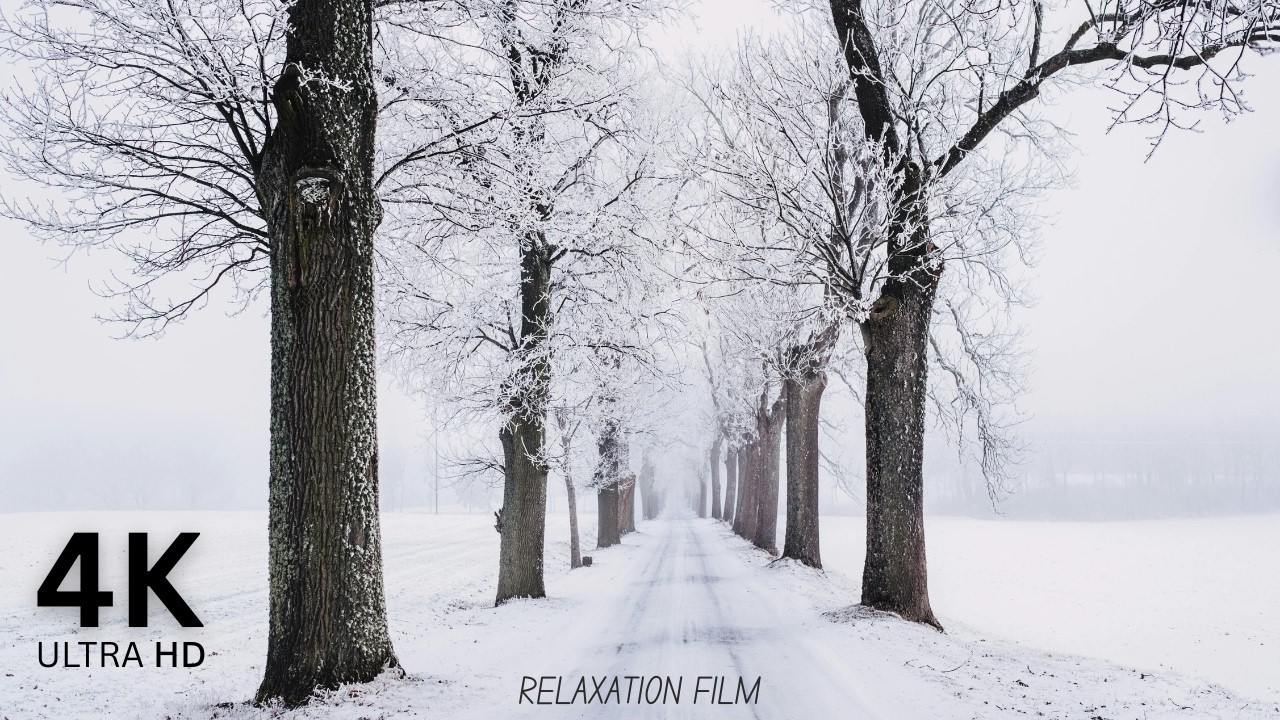 Snowfall  Relaxation &ndash; ❄️ Winter Nature 4K for Deep Sleep & Stress Relief | Calm Ambience