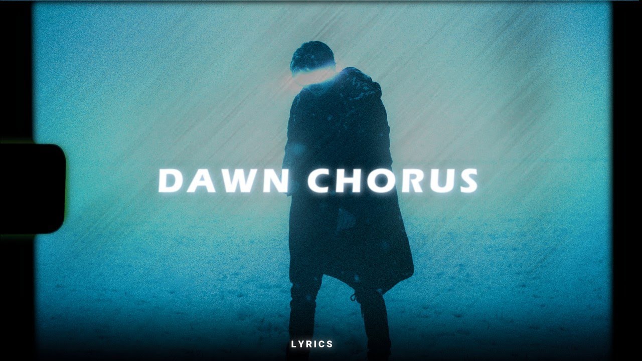 Thom yorke  &bull; Dawn chorus (Lyrics) │ If you could do it all again
