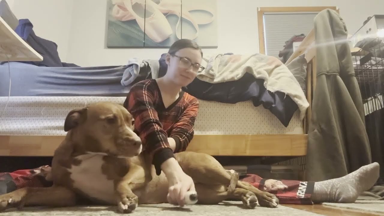 Giving my dogs nail trims! - Liv B.