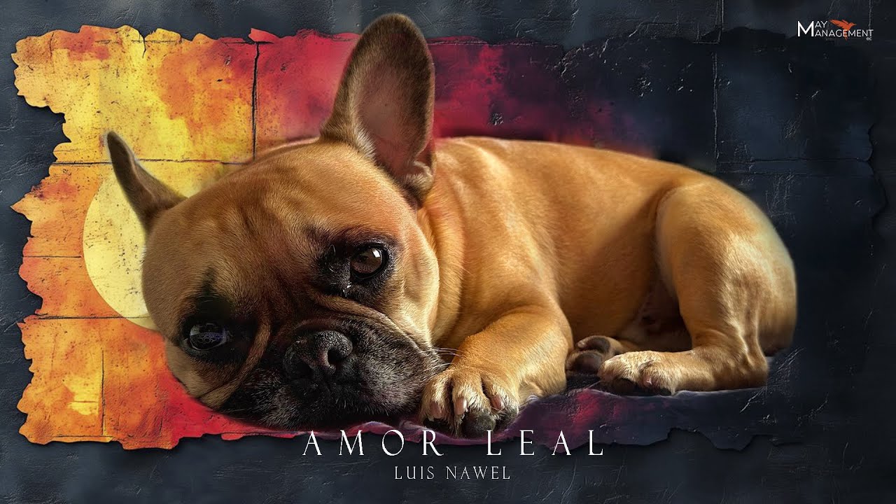 Luis Nawel / Aztra - Amor leal (Video Clip oficial)