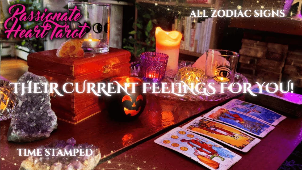 ✨Their Current Feelings For You! 🌹💌 All Zodiac Signs | Time Stamped✨