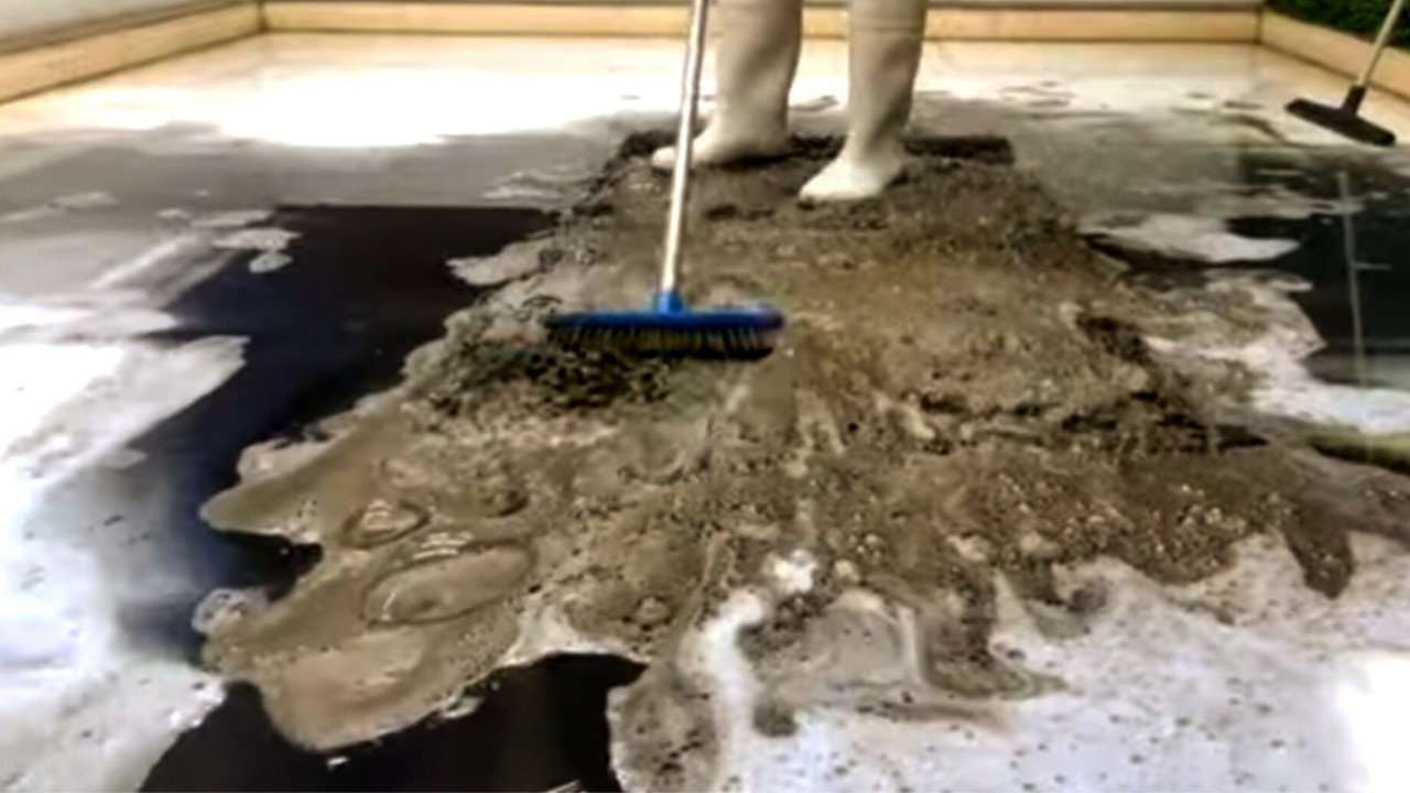 Deep Cleaning a Filthy Shag Rug 😱 Full of Black Mud!Desert Rug Cleaning