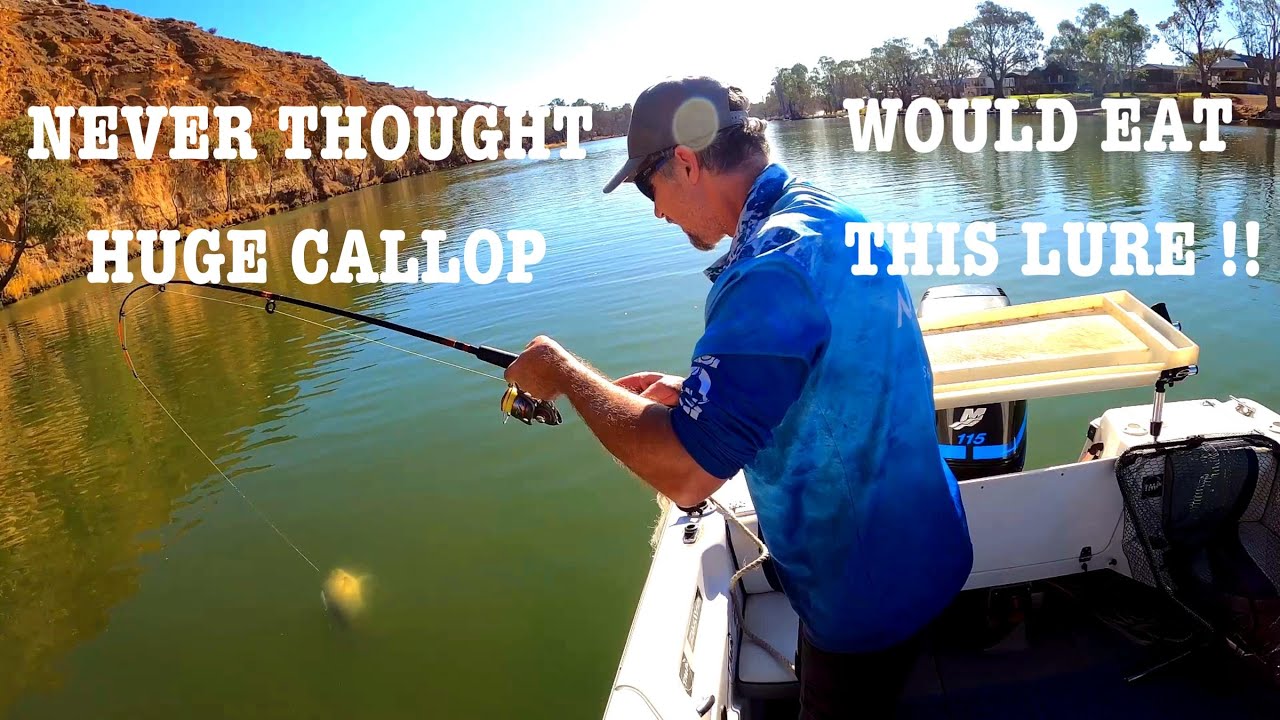 NEVER THOUGHT HUGE CALLOP WOULD EAT THIS LURE ! EP 84