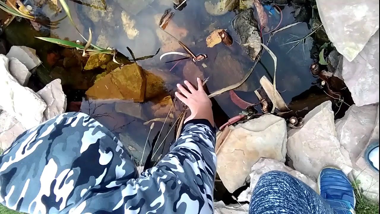 We found a GUN(40.000&euro;) inside the biggest lake in the world 🌍
