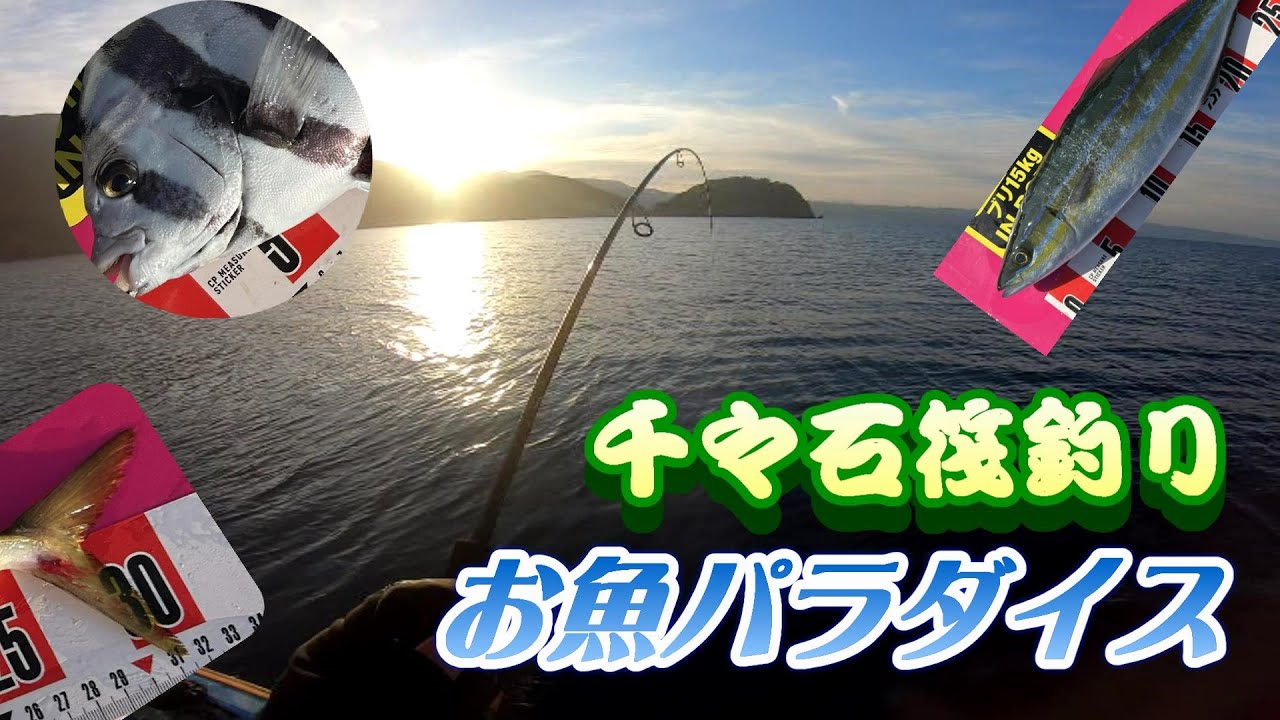 久々の千々石はおさかな天国