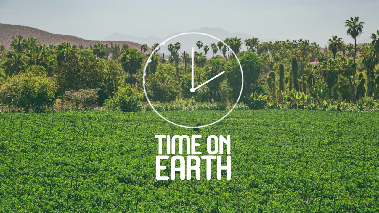 The Trees and The Wild - Verdure