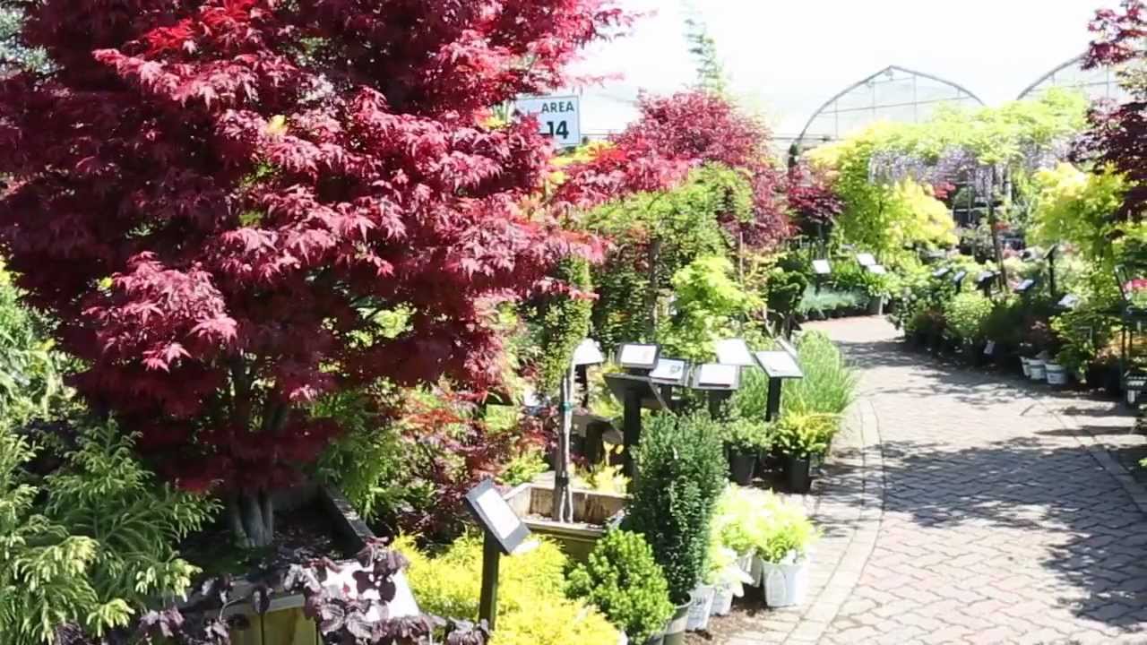Triple Tree Nurseryland Maple Ridge