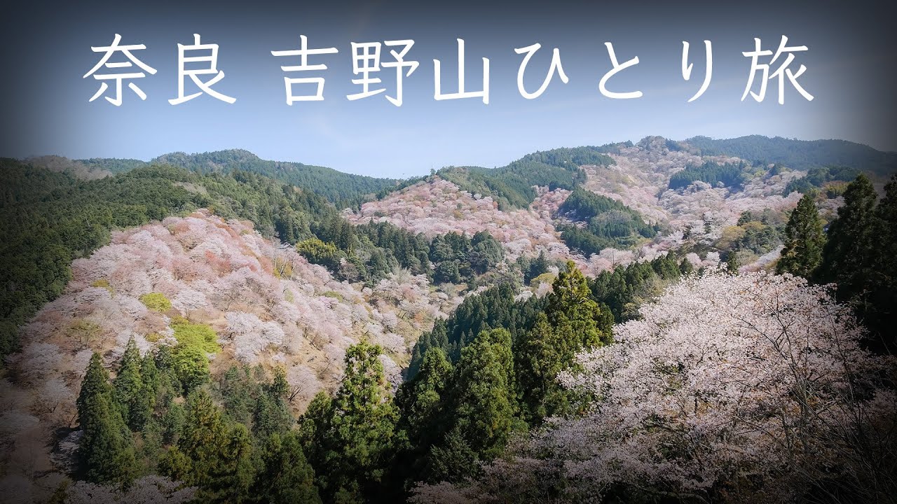 【満開】吉野山の桜と食べ歩き！ ひとり旅で奈良に行ってきたVlog