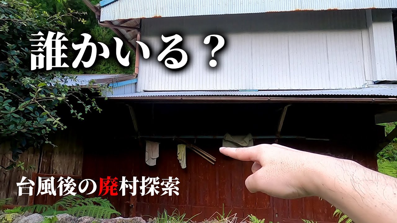 【廃村探索】誰か居そうな廃集落へ１人で行った結果【奥中野川集落跡】和歌山那智勝浦町ドライブ