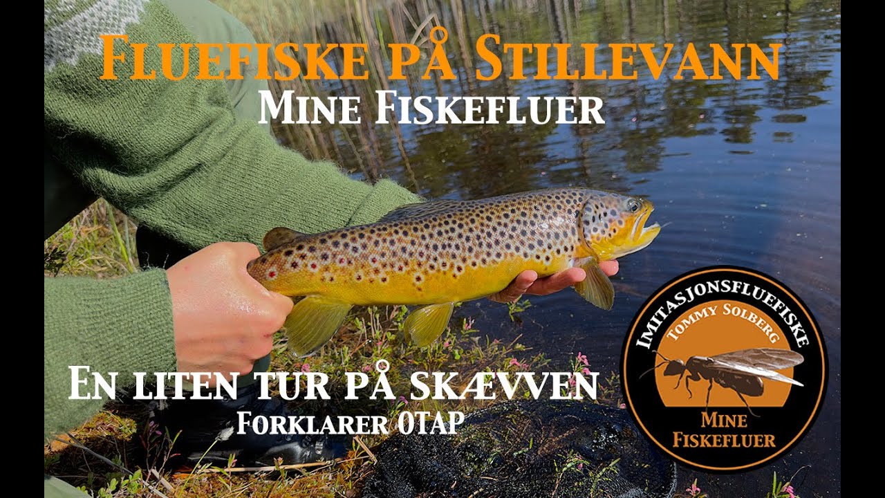 En liten fiskefilm om Fluefiske på stillevann, Del 1. Mine fiskefluer og imitasjonsfluefiske.