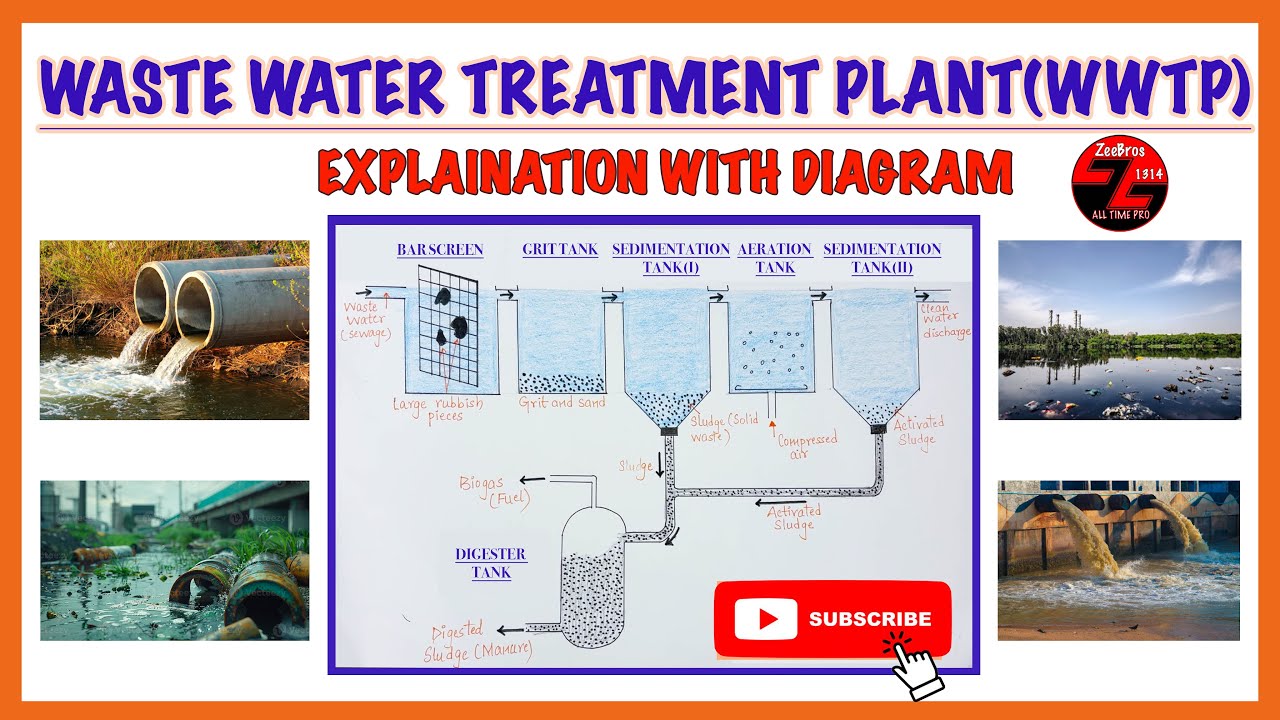 Wastewater Treatment Plant Diagram Explanation I FLOW CHART I TUTORIAL #shorts #science #learning