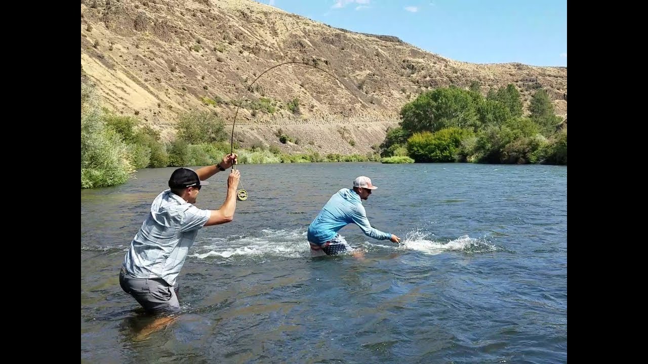 Sage Trout LL // In Depth Field Test, Review, and Dry Fly Fishing Tips