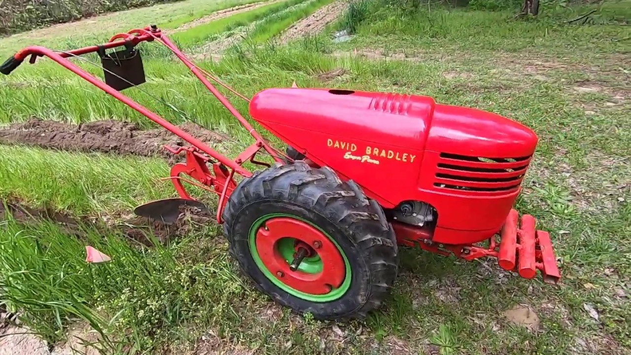David Bradley Plowing sugar cane